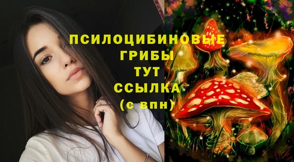 мяу мяу кристалл Иннополис