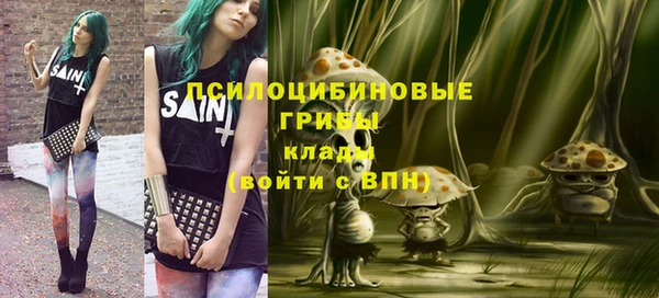 бошки Инта