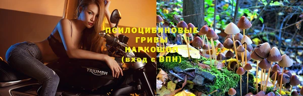 мяу мяу кристалл Иннополис