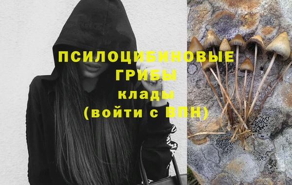 бошки Инта