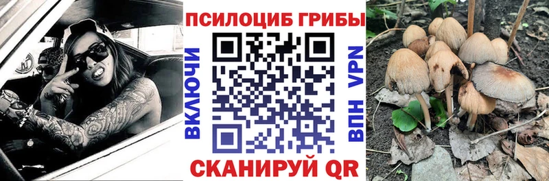 Галлюциногенные грибы Psilocybine cubensis  Купить где  Далматово 